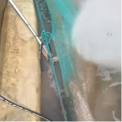 高壓清洗機(jī),進(jìn)口高壓清洗機(jī),高壓清洗機(jī)價(jià)格,超高壓清洗機(jī)