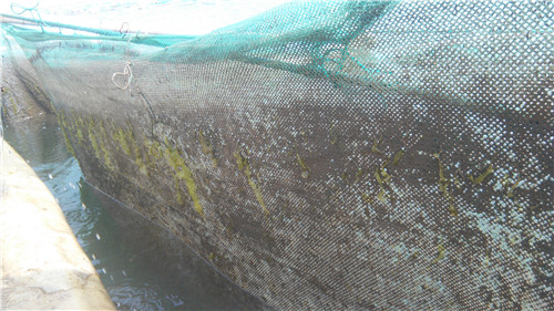 高壓清洗機(jī),進(jìn)口高壓清洗機(jī),高壓清洗機(jī)價格,超高壓清洗機(jī)