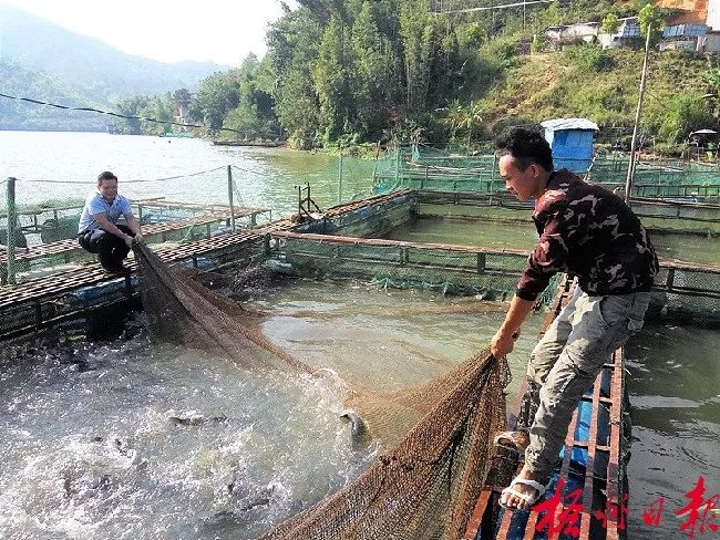 高壓清洗機(jī),進(jìn)口高壓清洗機(jī),高壓清洗機(jī)價格,超高壓清洗機(jī)