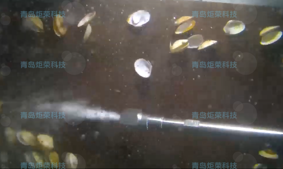 高壓清洗機(jī),進(jìn)口高壓清洗機(jī),高壓清洗機(jī)價格,超高壓清洗機(jī)